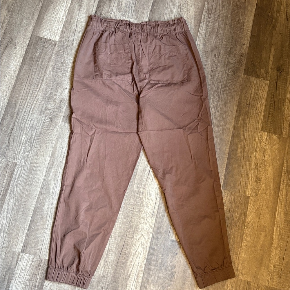 LOFT Chocolate Brown Joggers - Picture 5 of 5